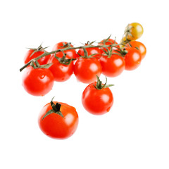 Cherry Berry Tomatoes