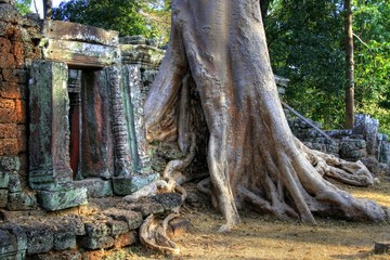 Tah Prohm - Angkor Wat - Cambodia / Kambodscha