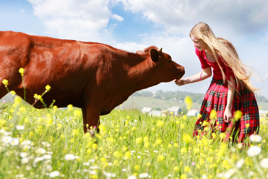 happy girl feeding cow on meadow