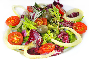 Fenchel Tomaten Salat