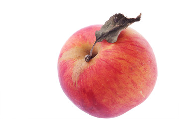 red apple with dried leafe on white