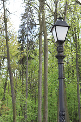 Lantern in the park