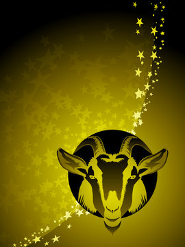 Capricorn Zodiac Background