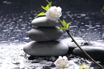 Foto op Canvas Stacked stones and white flower and water drops © Mee Ting