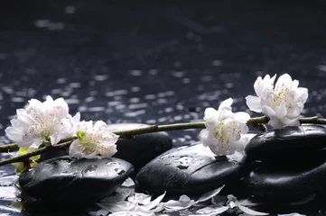 Foto op Plexiglas Wet stones and flower, petal with green leaf © Mee Ting