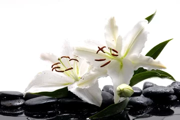 Foto op Plexiglas Madonna lilies with spa stone © Mee Ting