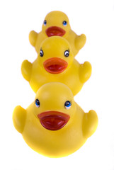 Yellow ducks