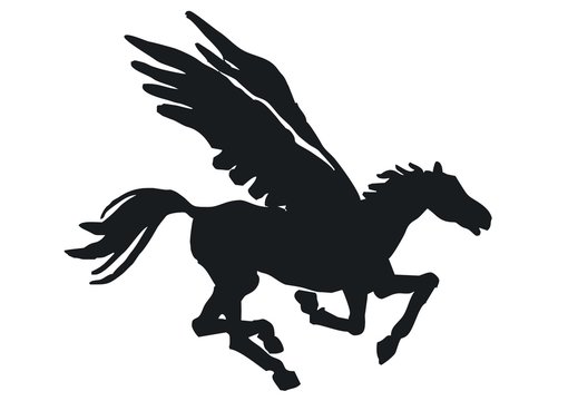 the winged horse