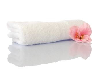 spa and wellness concept