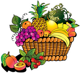 Beautiful fruits with basket. Salubrious food.