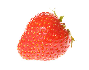 strawberry on white background