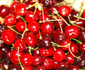 Fresh beautiful cherries