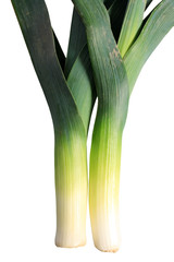 Fresh green leek onion on white background