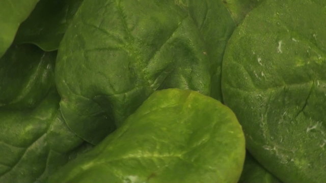 Organic baby spinach salad background - HD