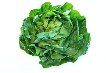 Kopfsalat