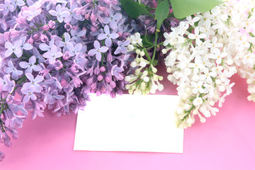 Background with a lilac
