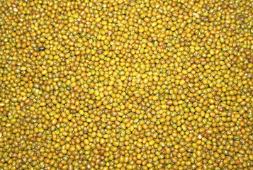 Green mungo  beans as texture