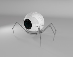 spider cam