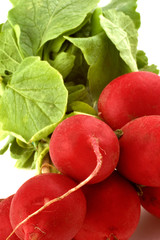 Radish