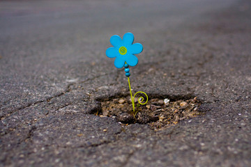 Blümchen