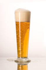 light beer