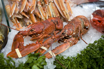 King crab on ice close up.  Borough market
