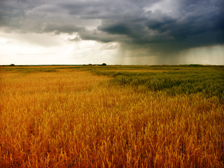 storm