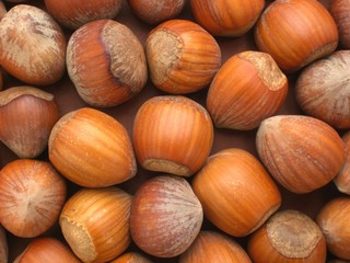 Haselnüsse