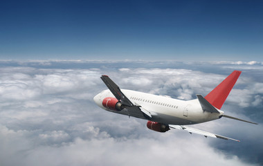 Airplane in the sky
