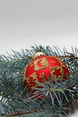 rote weihnachtskugel mit tannenzweig
