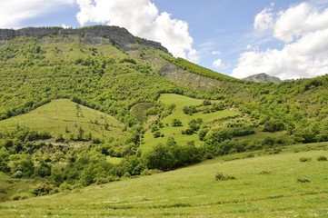 Fototapeta premium campo alaves