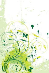 Fototapeta na wymiar floral vert ecolo grunge