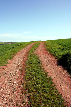 Muddy red-soil farm track curving to horizon under blue sky.