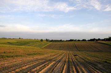 Fototapeta na wymiar village landscape
