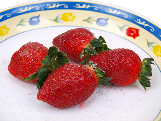 Tempting Strawberries Seven
