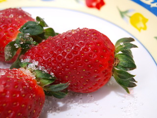 Tempting Strawberries Eleven