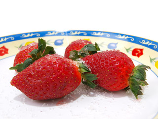 Tempting Strawberries Thirteen