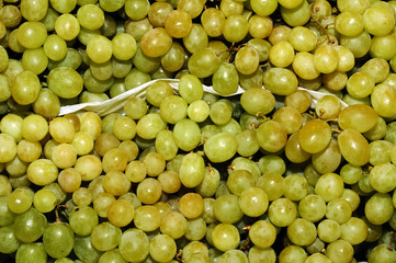 uvas