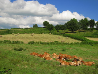 Vassivière en Limousin