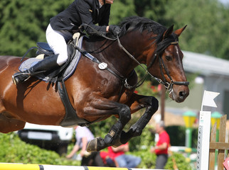 Reitsport-Springen 1