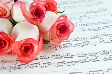 Fototapeta na wymiar pink rose and note