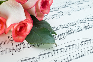 pink rose and note