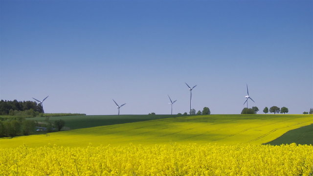 Windpower hinter Raps