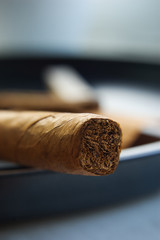 A cigar in ashtray