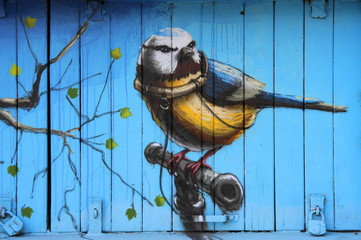Graffiti-Vogel