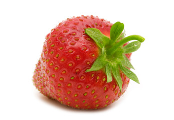 single strawberry on white background
