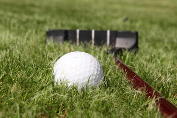 ball and stick  for golf on green grass