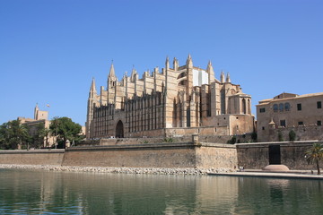 Obraz premium Palmas Kathedrale