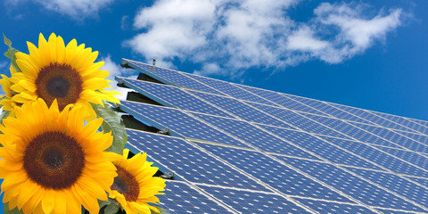 Sonnenenergie / Solar und Sonnenblume