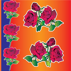 Beautiful red roses on a orange background